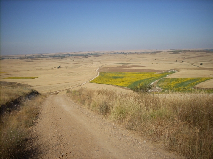 Cammino di Santiago di Lela