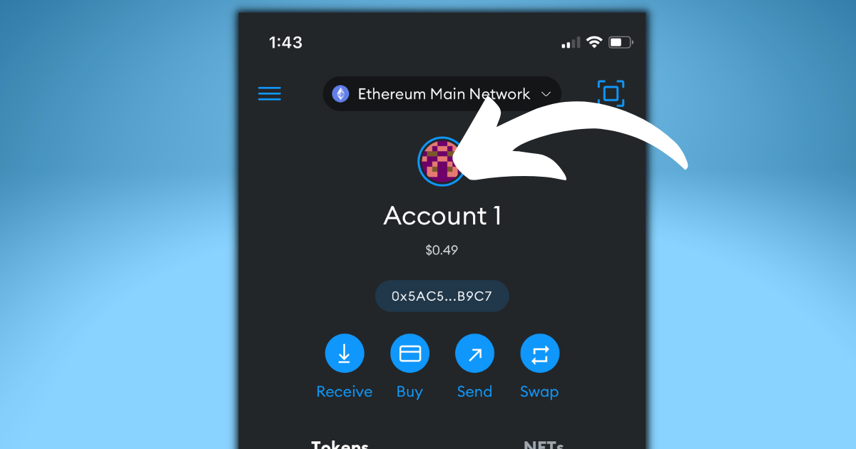 Account icon on MetaMask mobile.