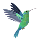 Download Suara pikat burung kolibri ampuh dan lengkap For PC Windows and Mac 1.0