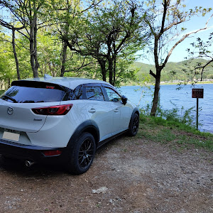 CX-3 DKEAW