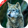 New HD Wolf Wallpapers icon