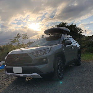 RAV4