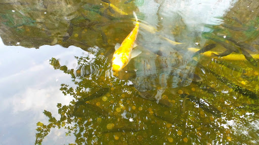 Haw Par Villa Singapore 2016