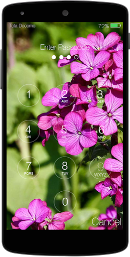 Spring Password Lockscreen