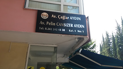 Avukat Pelin Cansızer Aydın