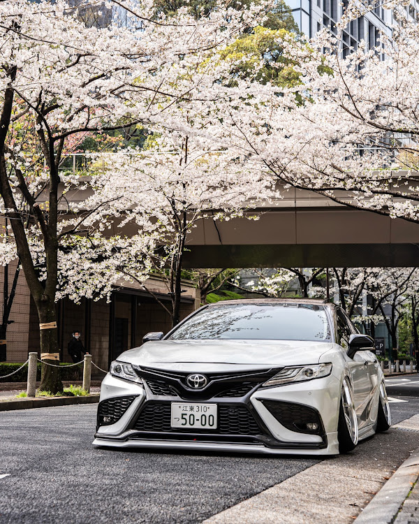 カムリのトヨタ・カムリ・エアサス・東京・桜に関するカスタム事例の投稿画像2枚目