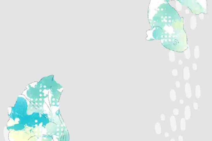 「化物少女とお嬢様青年」のメインビジュアル