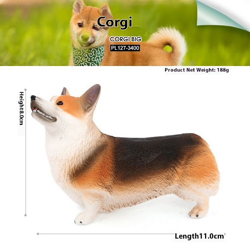 Corgi
