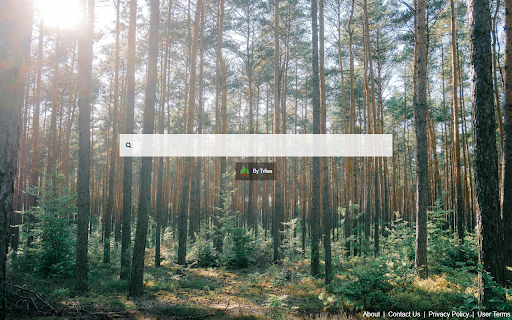 New Tab Direct - Forest