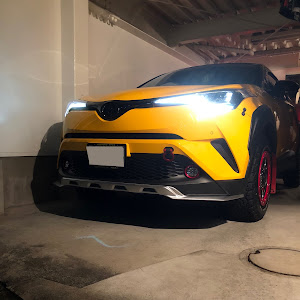 C-HR NGX50