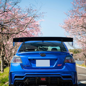 WRX STI VAB