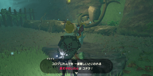 ゼルダBotW_コログの森の東北にいるダミダミと話す