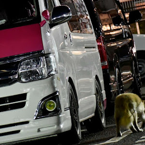 ハイエースバン TRH200V