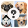 Which Dog Breed Are You? icon