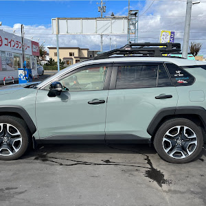 RAV4 MXAA54