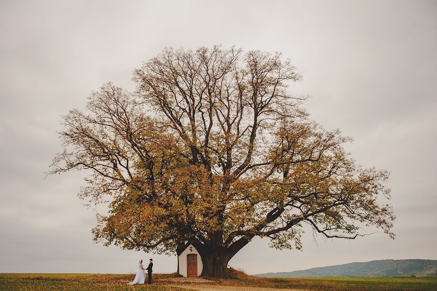 Düğün fotoğrafçısı Sebastian Franczyk (sebastianfrancz). 12 Ekim 2015 fotoları