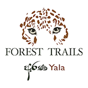 Arana - Forest Trails  Icon