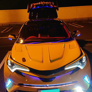 C-HR ZYX10