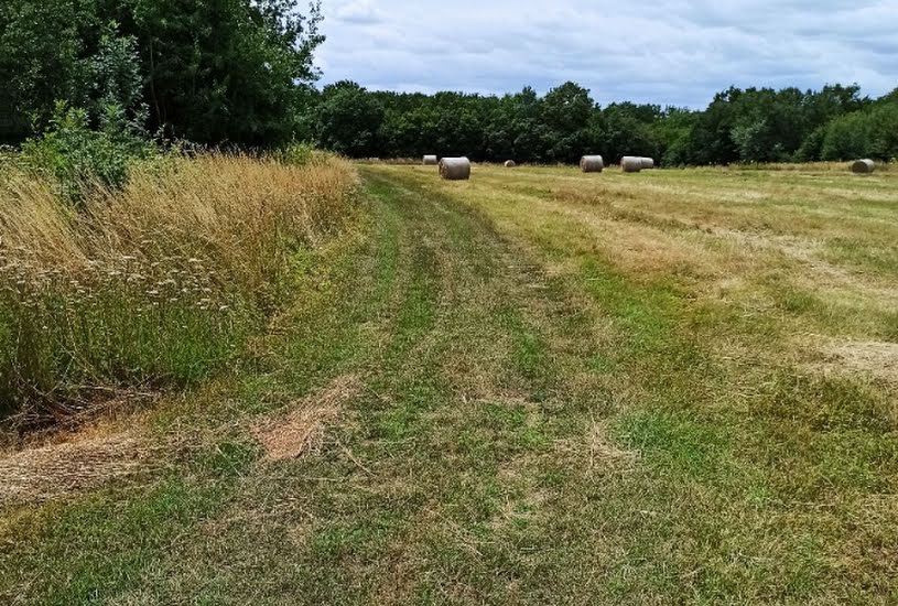  Vente Terrain à bâtir - 493m² à La Chapelle-des-Pots (17100) 