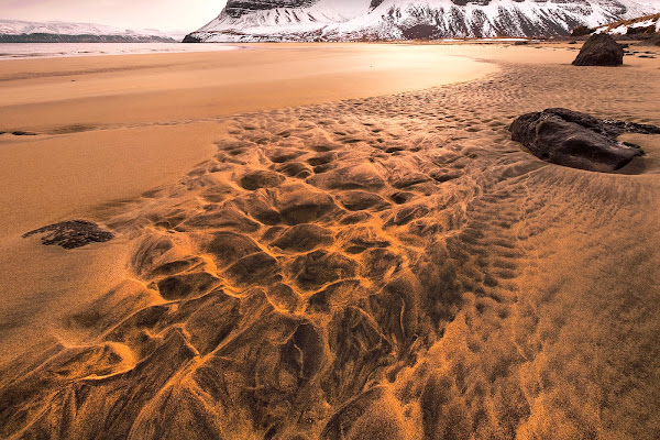 Natural art di sauro_fiorani