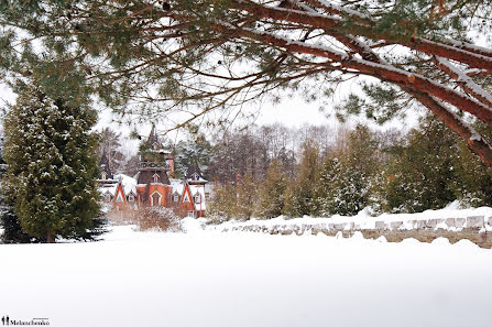 Wedding photographer Aleksandr Melanchenko (melanchenko). Photo of 23 January 2018