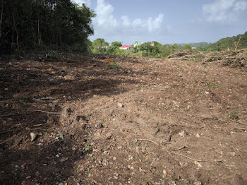 terrain à Sainte Anne (971)