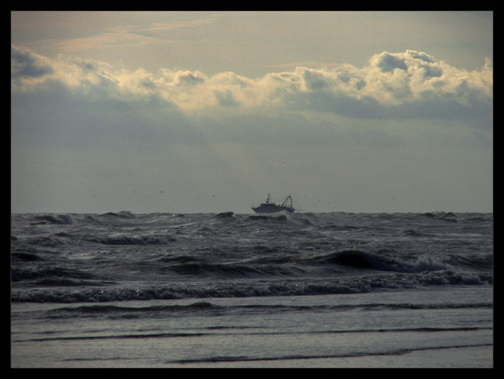 Gente di mare di lo.re.n.zo.