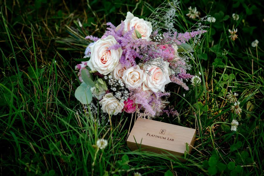 Photographe de mariage Ekaterina Galkevich (galkevich67). Photo du 5 août 2017