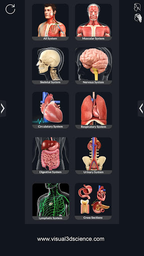 Screenshot Human Anatomy