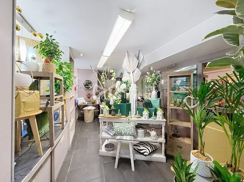Boutique avec plantes et décorations. Locaux Professionnels à vendre à Navarrenx (29000 € - 210 m²)