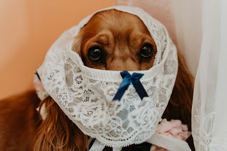 Fotógrafo de casamento Pierpaolo Cialini (pierpaolocialini). Foto de 26 de março 2022