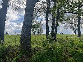 terrain à Lévignac (31)