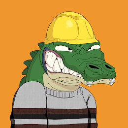 Croc #4043