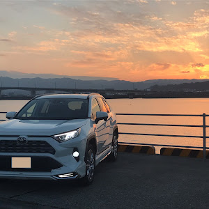 RAV4 MXAA54