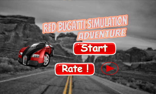 Bugatti Simulation Adventure