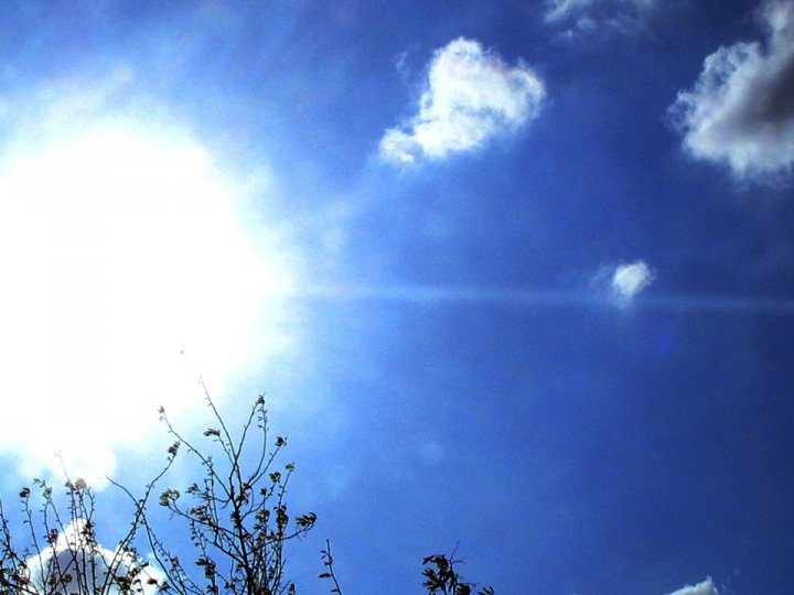 Gli alberi tra il cielo di elisabfly