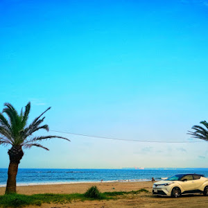 C-HR ZYX10
