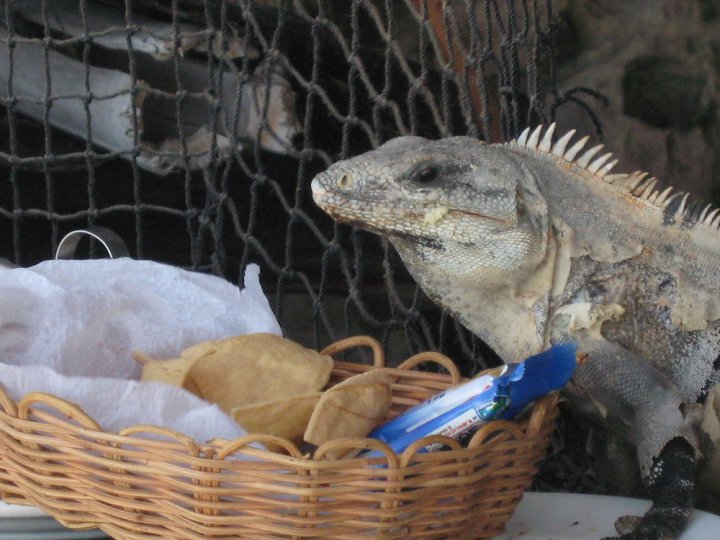 Piccolo spuntino di giacomo_cagnoli