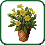 Gardening Tips For Everyone Apk