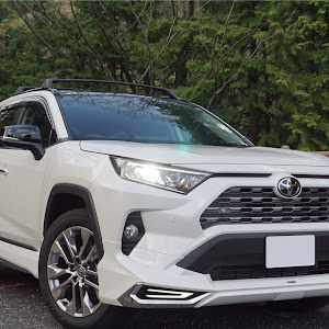 RAV4 MXAA52