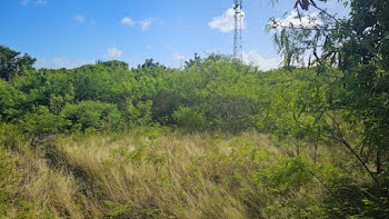 terrain à Sainte Anne (971)