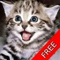 Cat and Kitten Fun Meow Sounds icon