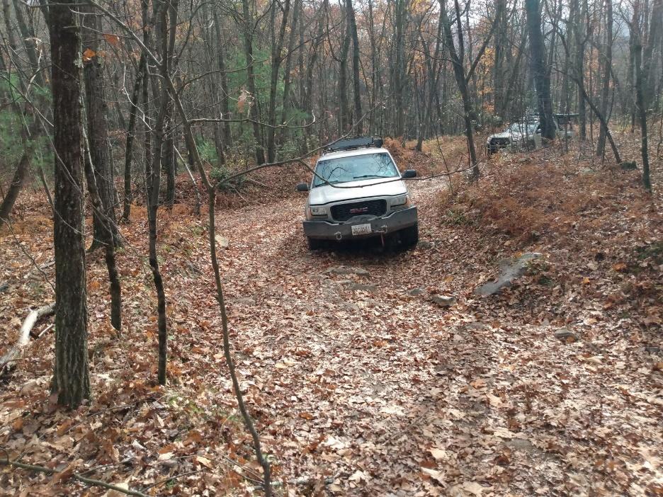 A car parked in a wooded area

Description automatically generated with medium confidence