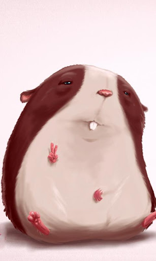 cute hamsters wallpapers