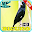 Cantos de Bicudo New Mp3 Download on Windows