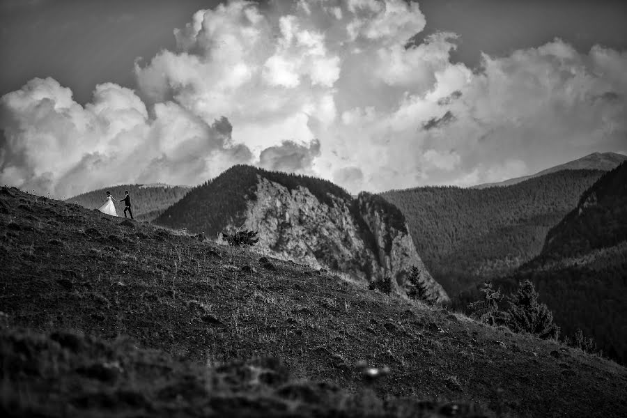 Fotografo di matrimoni Marius Stoica (mariusstoica). Foto del 20 settembre 2016