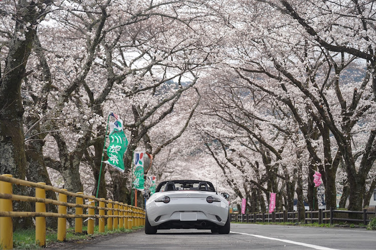 ロードスターの坊主Bouzu さんが投稿したカスタム事例の投稿画像3枚目