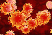 A preliminary study conducted by the KwaZulu-Natal Research Informatics and Sequencing Programme showed people previously infected with the new Covid-19 variant are immune from reinfection and possibly other circulating variants. Stock photo.