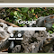 Item logo image for Ky nhong