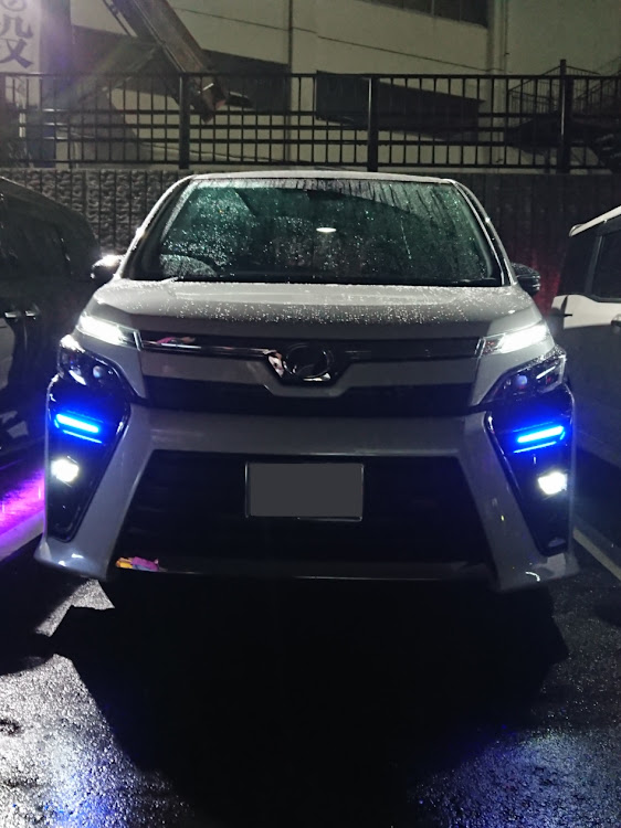 アルファードの80ヴォクシー・20アルファード・セルボ・コラボ・別府杉の井ホテル駐車場に関するカスタム事例の投稿画像6枚目